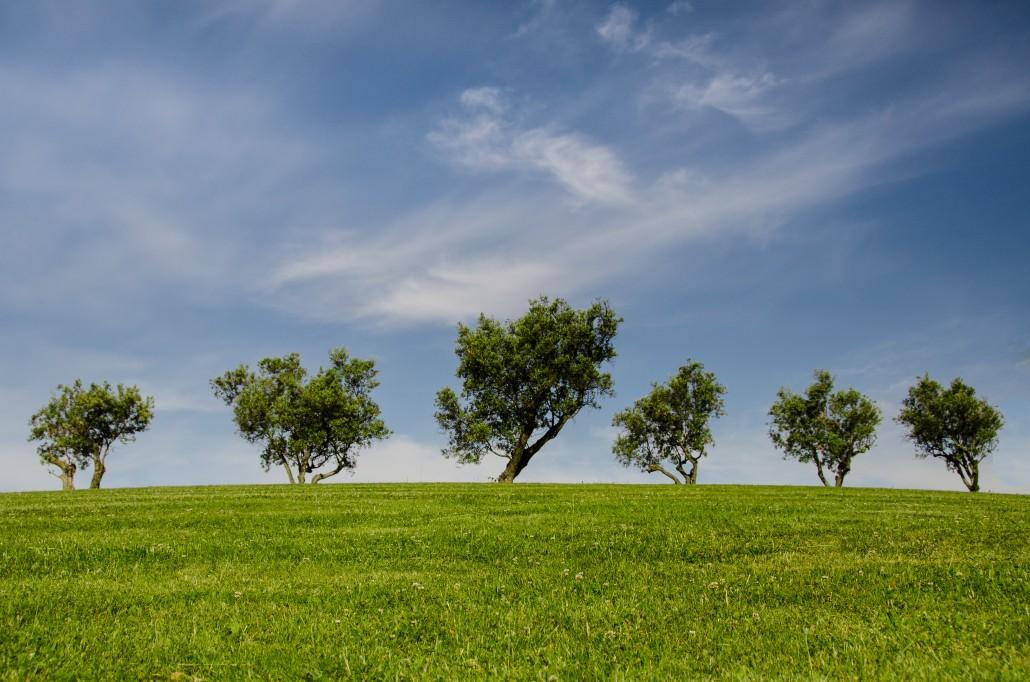 Natuurlandschap — Vitaliteitscentrum Zuid